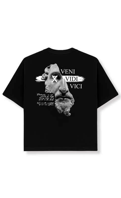 VENI VIDI VICI