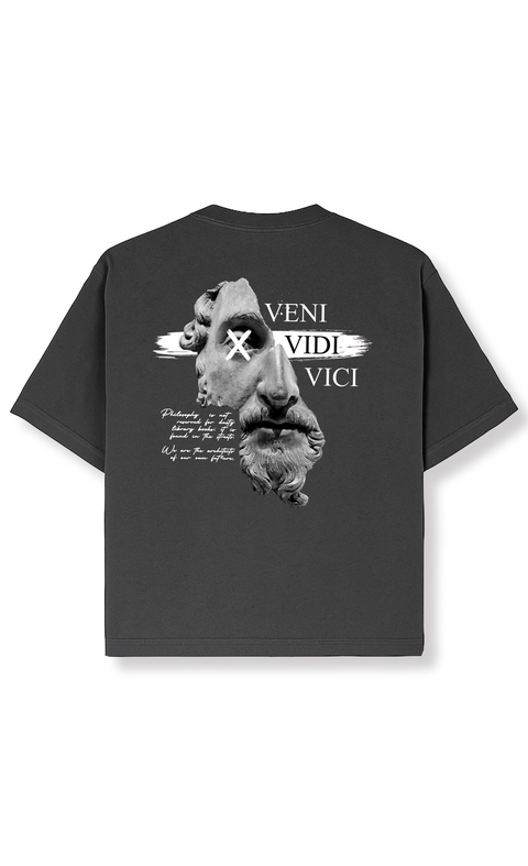 VENI VIDI VICI