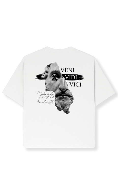 VENI VIDI VICI