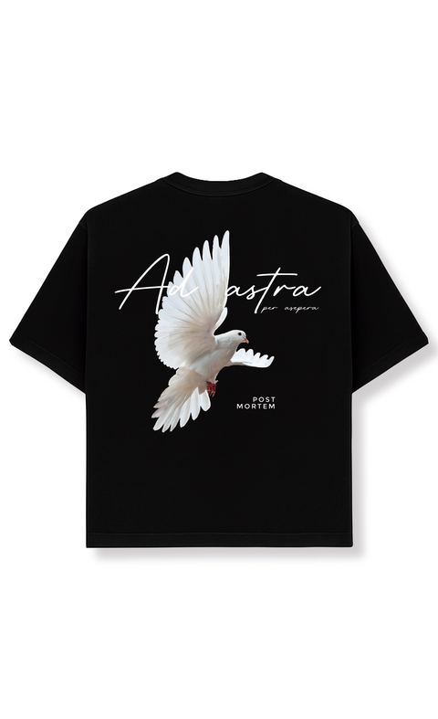 Ad Astra