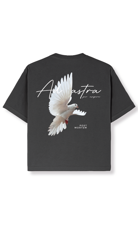 Ad Astra