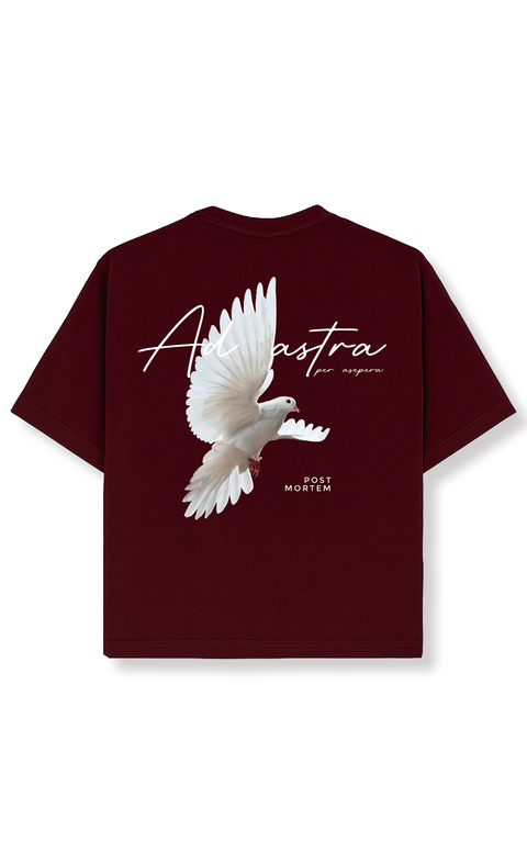 Ad Astra